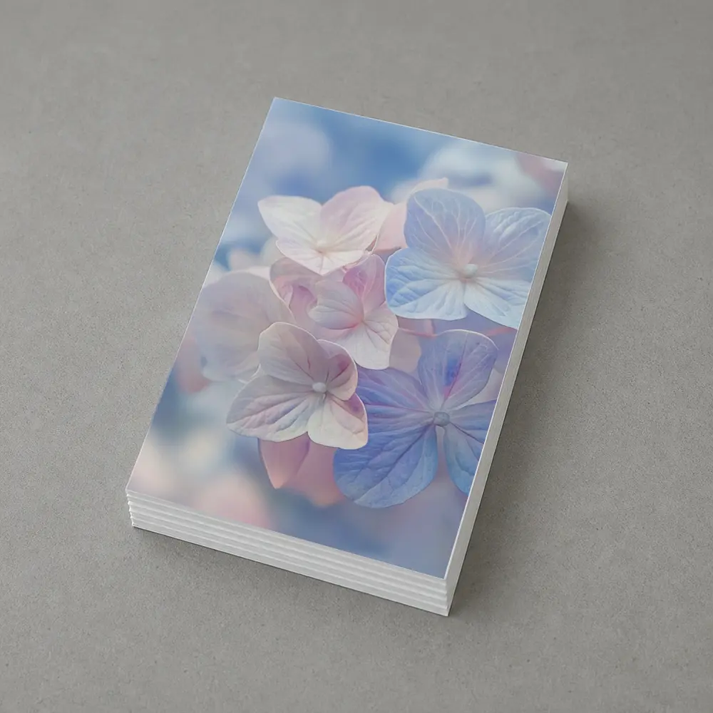 Soft Hydrangea Blooms Pastel Blue Pink – Postcards