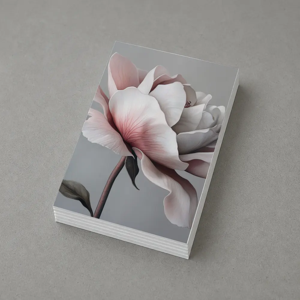 Pink White Rose Flower Gray Background Art – Postcards