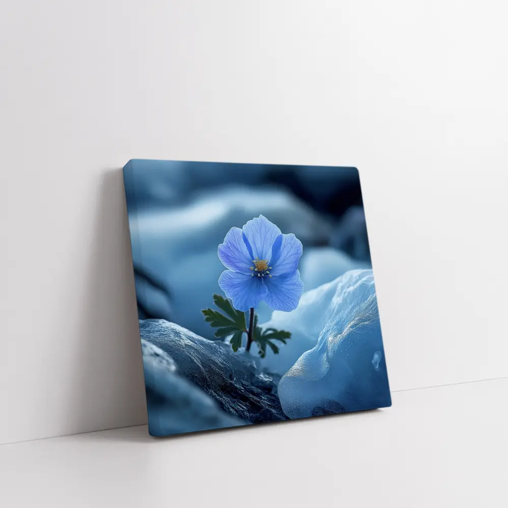 Blue Himalayan Poppy Growing Between Icy Rocks – Wall Art