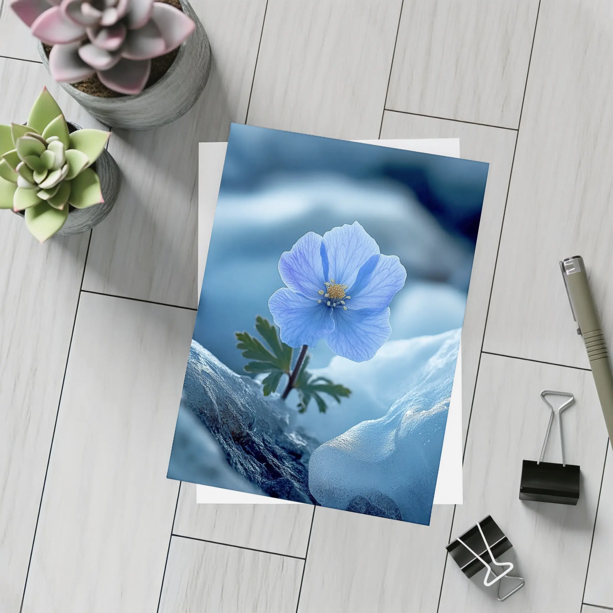 Blue Himalayan Poppy Growing Between Icy Rocks – Postcards