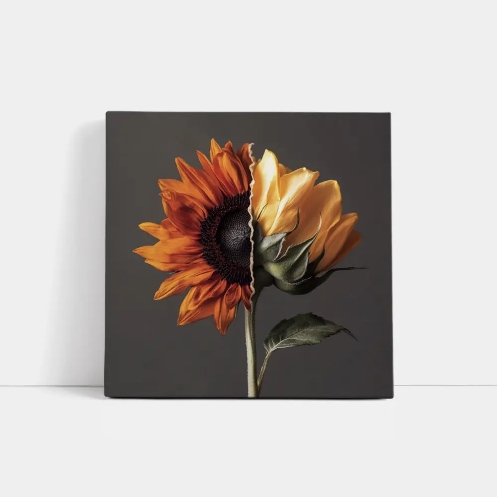 Split Sunflower Bloom Gray Background Art – Wall Art