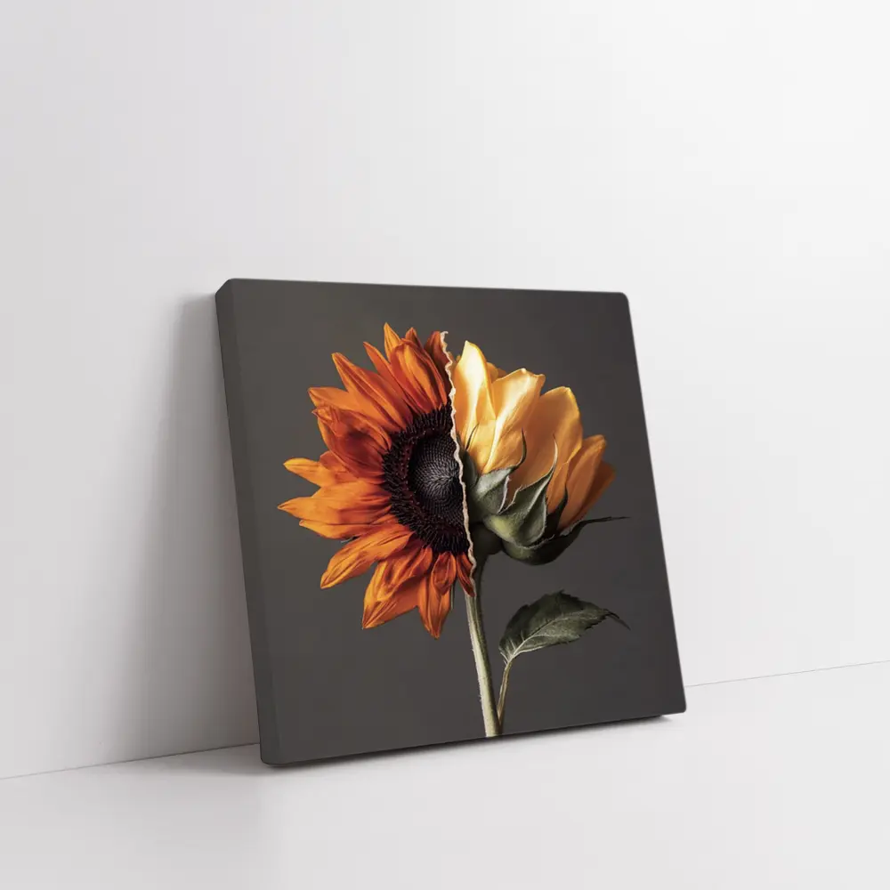Split Sunflower Bloom Gray Background Art – Wall Art