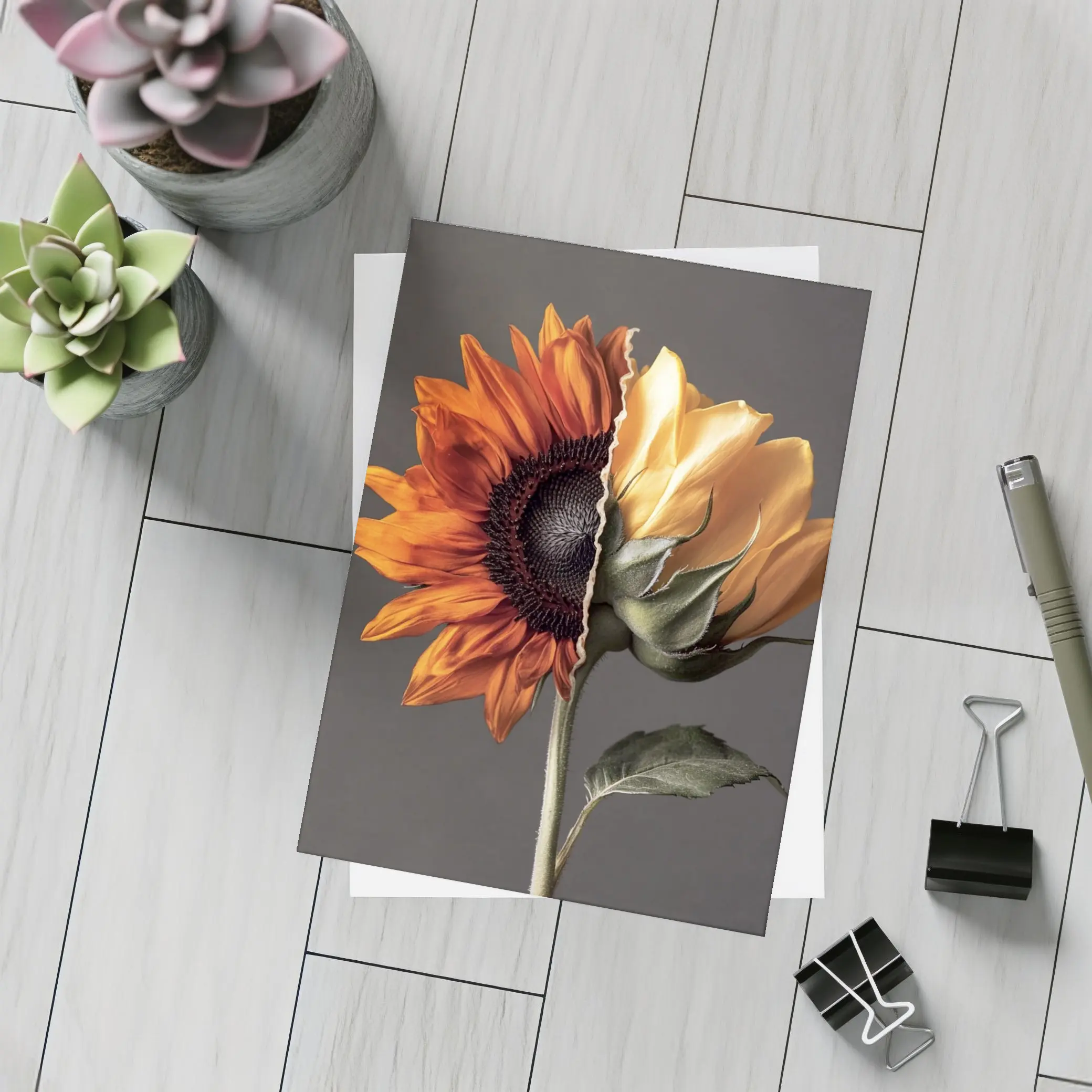 Split Sunflower Bloom Gray Background Art – Postcards