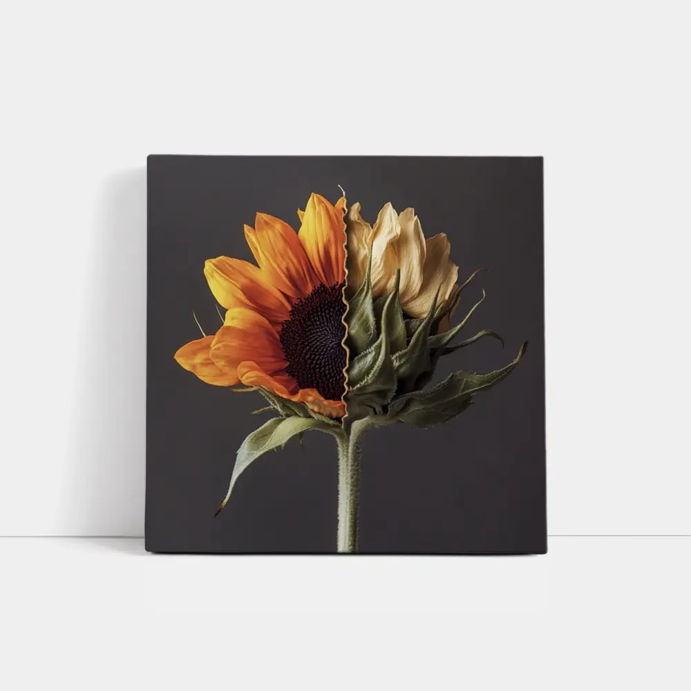 Sunflower Split Bloom Before After Gray – Wall Art