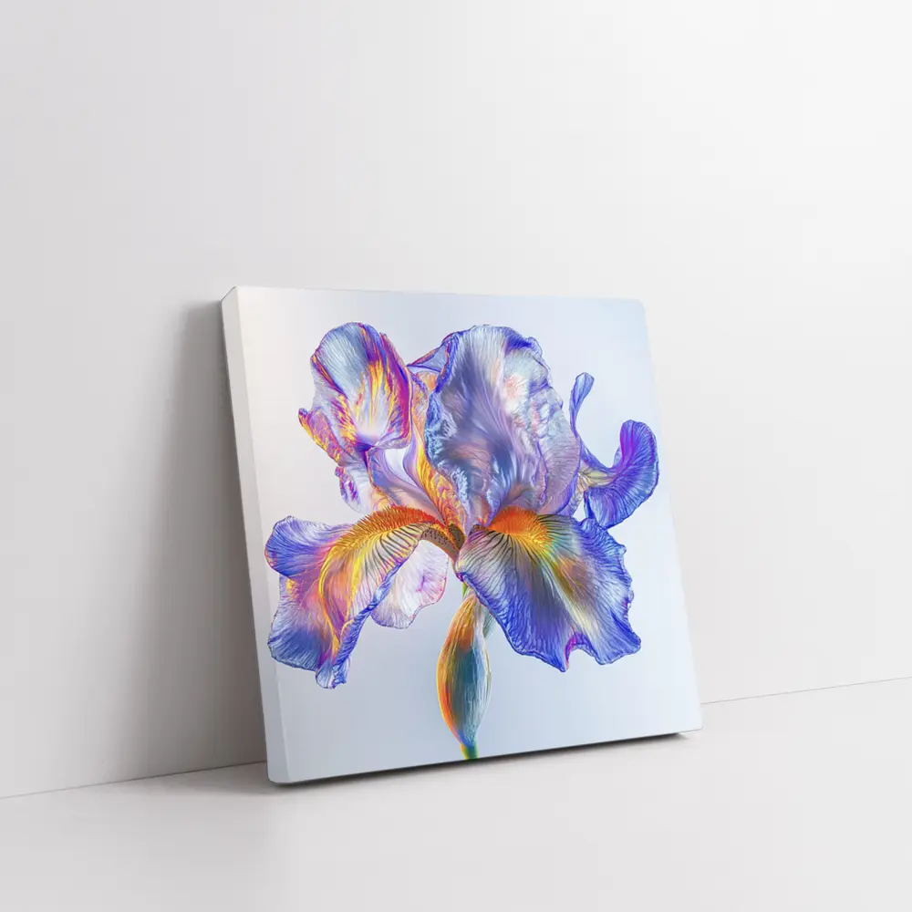 Colorful Iris Flower Blue White Background – Wall Art