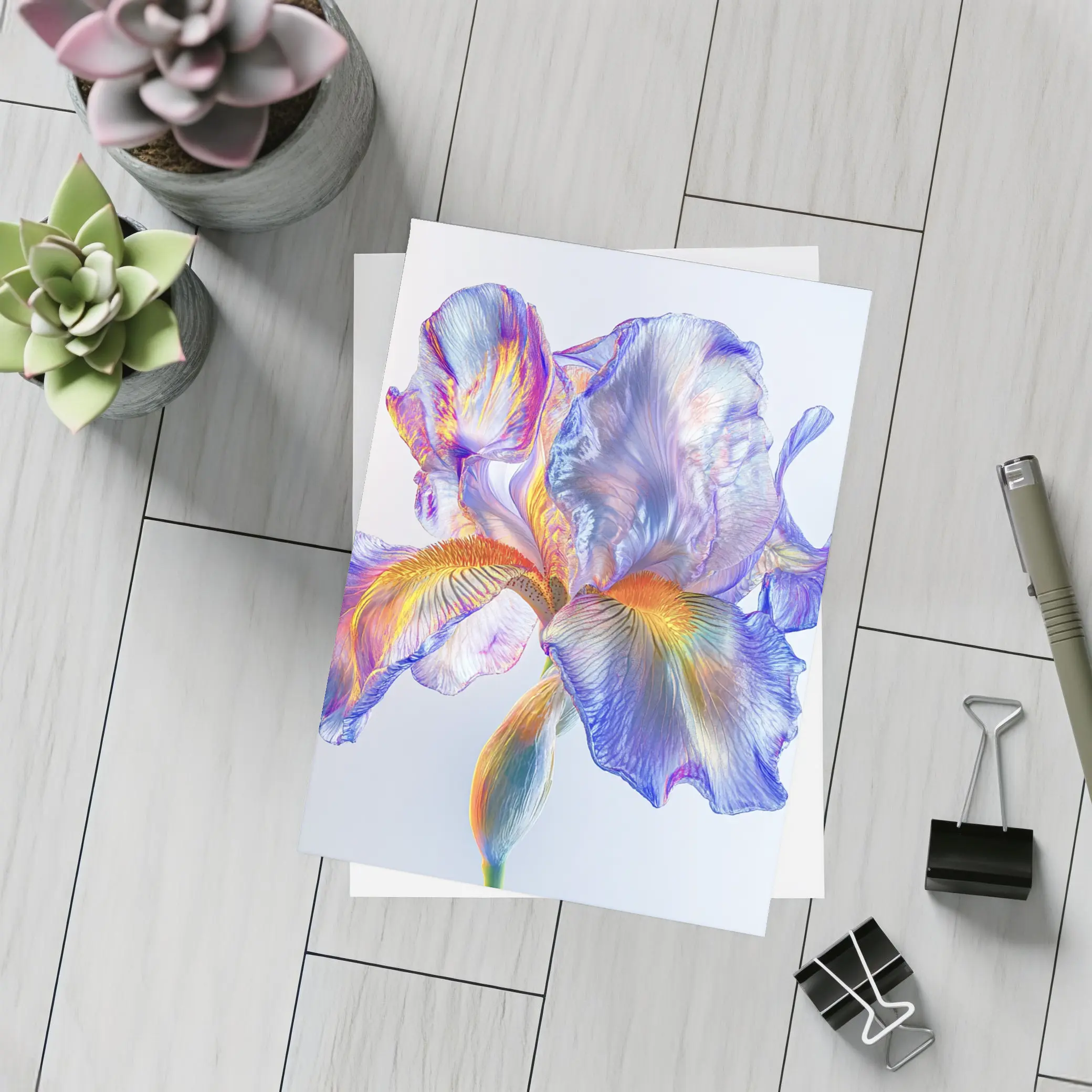 Colorful Iris Flower Blue White Background – Postcards