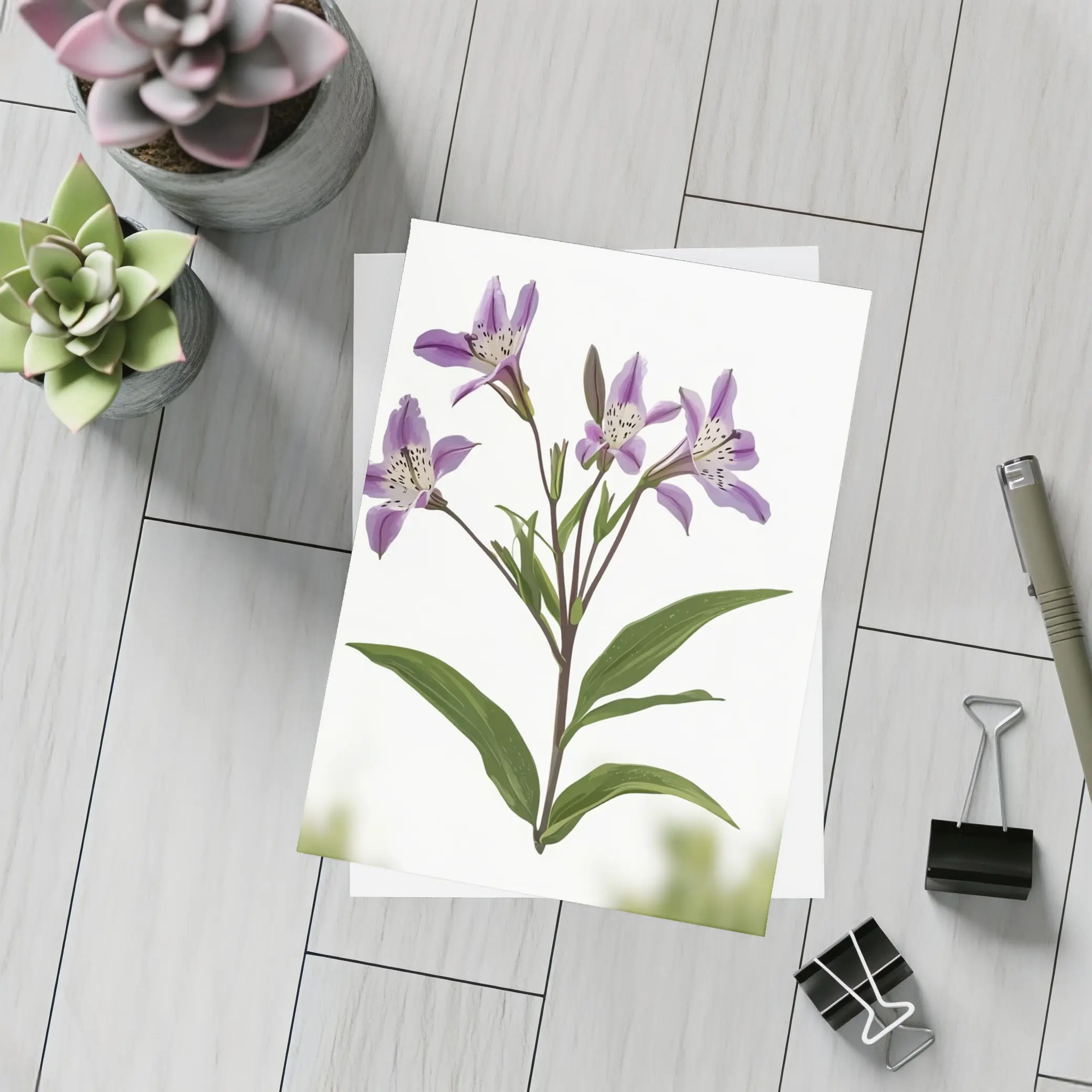 Purple Alstroemeria Flowers White Background Botanical – Postcards