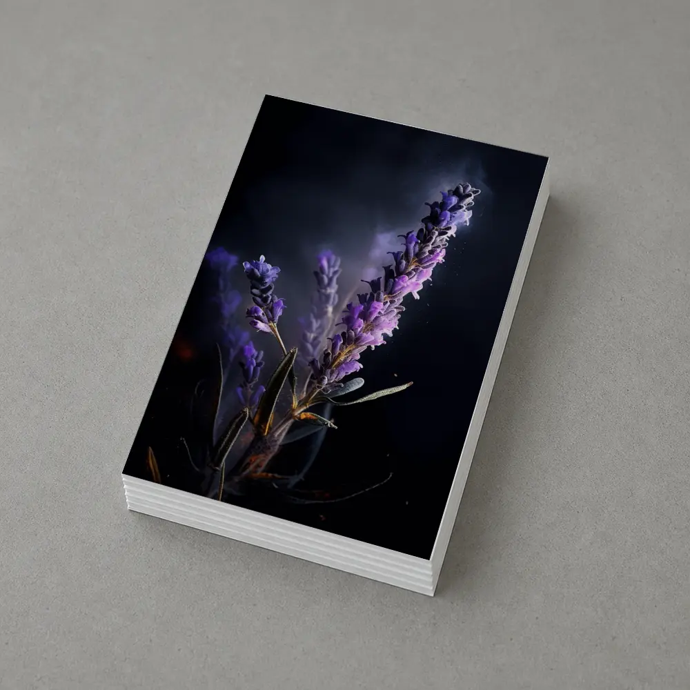 Lavender Sprig Against Dark Black Background – Postcards