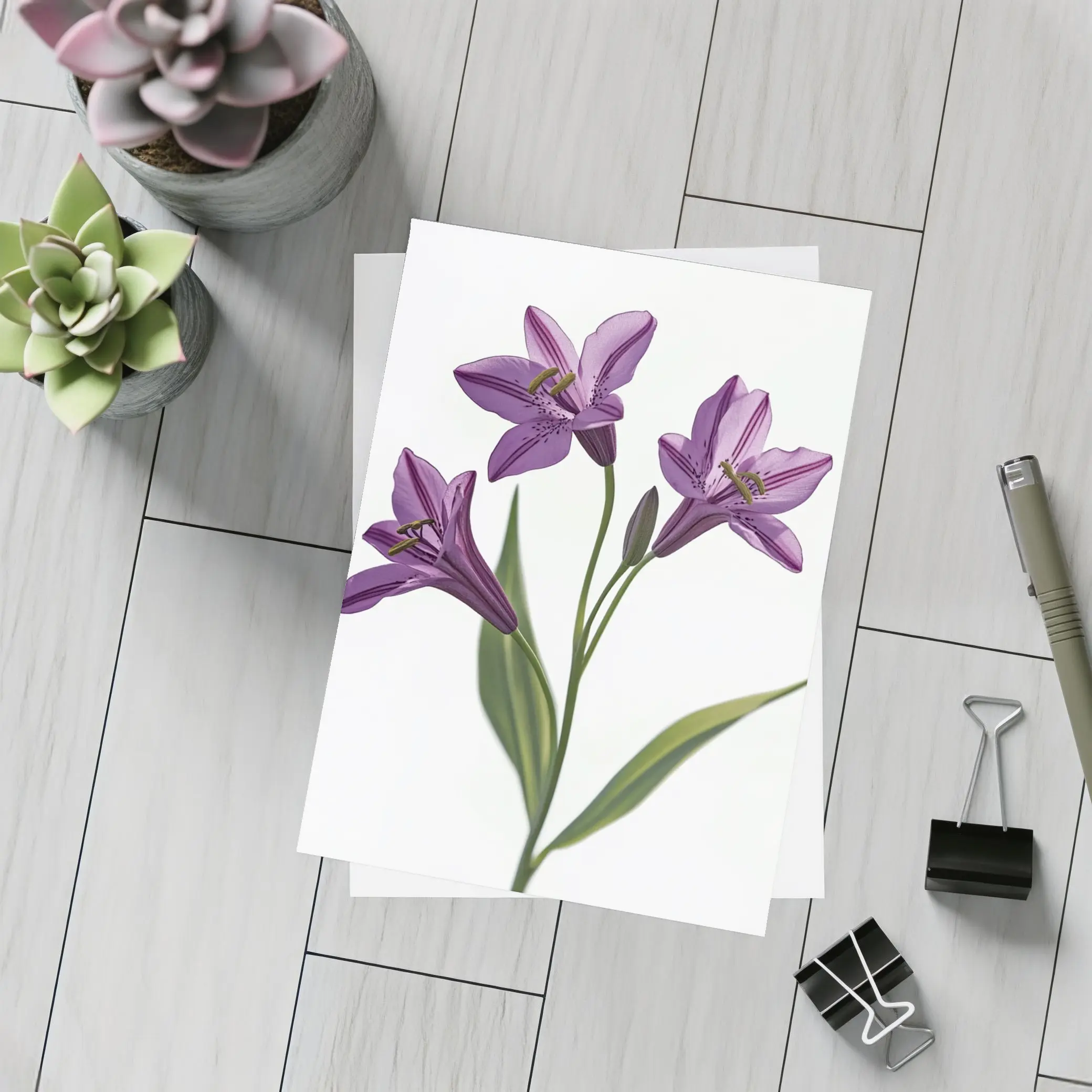 Purple Lily Flowers On White Background – Postcards