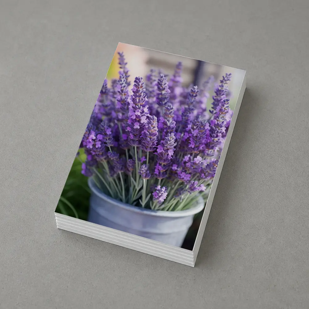 Lavender Flowers Bouquet In Metal Bucket – Postcards