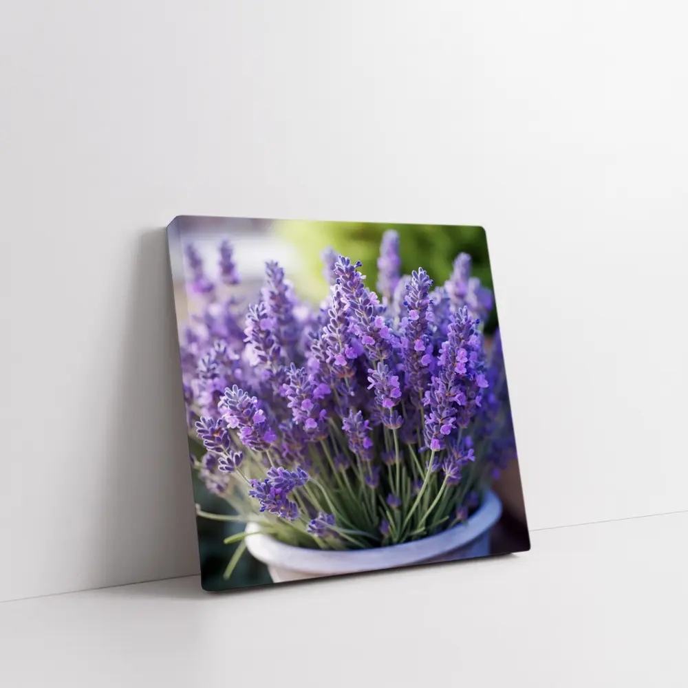 Lavender Flowers In White Pot Garden – Wall Art