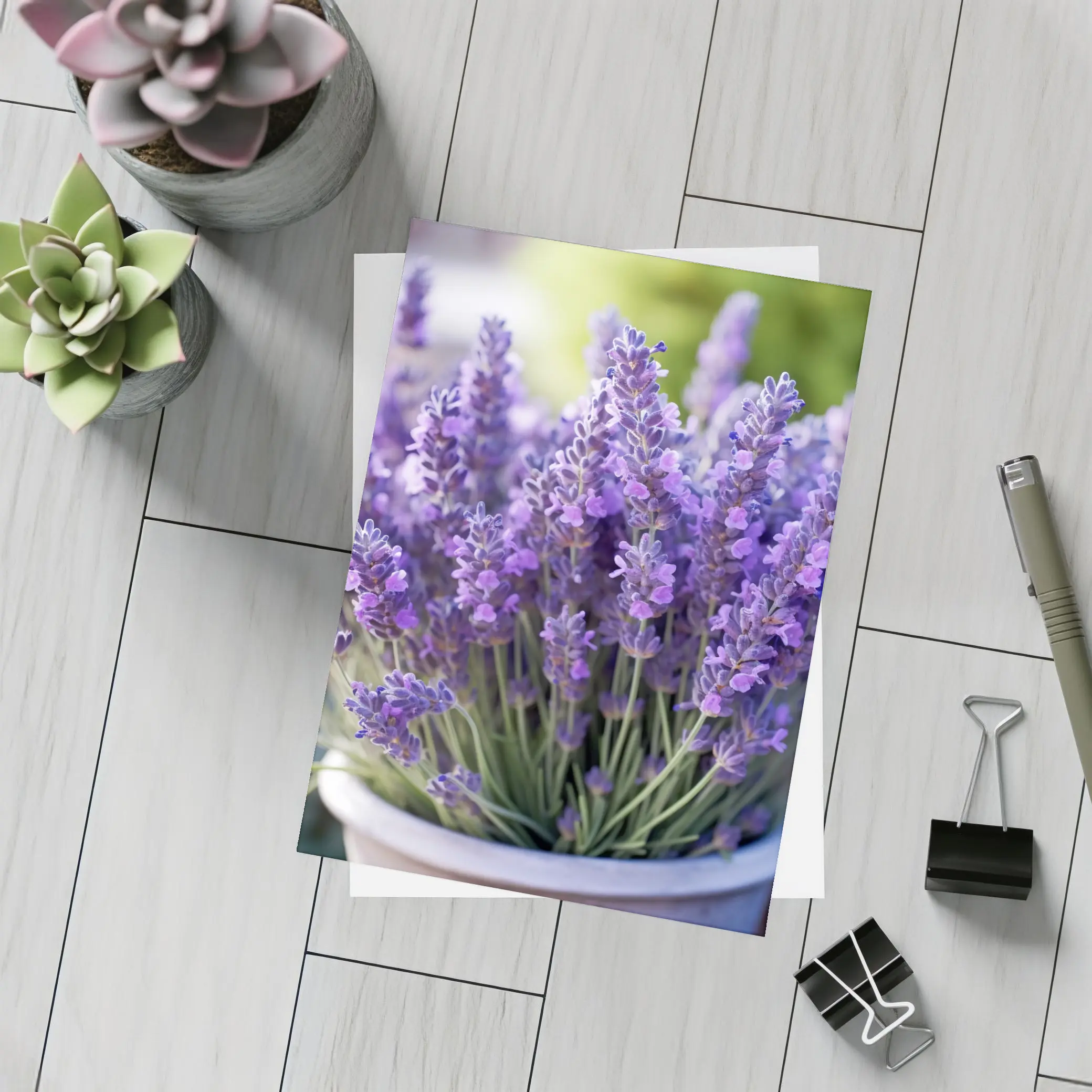 Lavender Flowers In White Pot Garden – Postcards