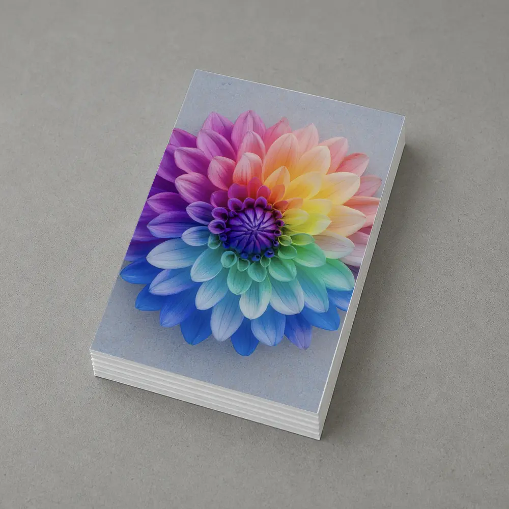 Rainbow Dahlia Flower on Light Gray Background – Postcards
