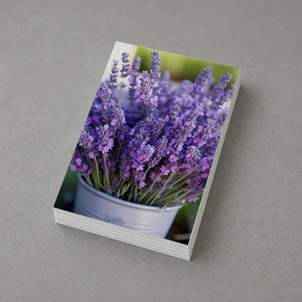 Lavender Bouquet in Silver Bucket Garden – Postcards