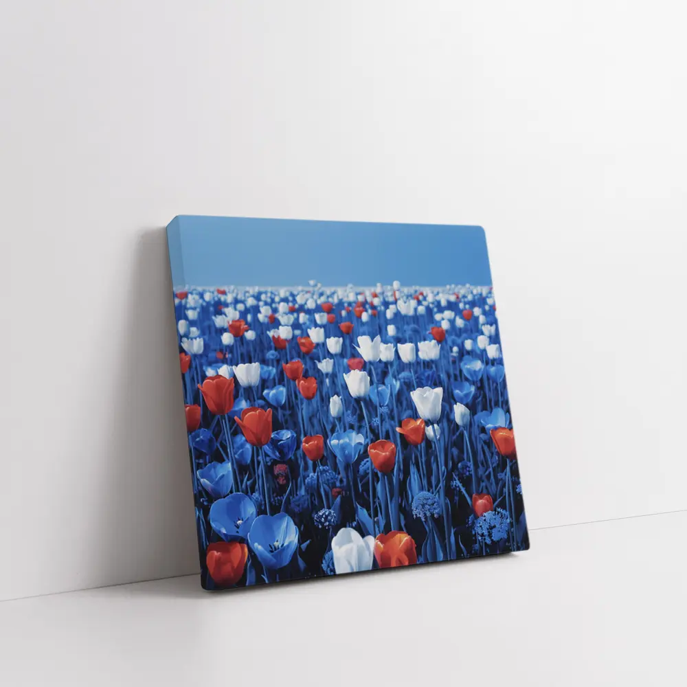 Red White Blue Tulips Field Clear Sky – Wall Art