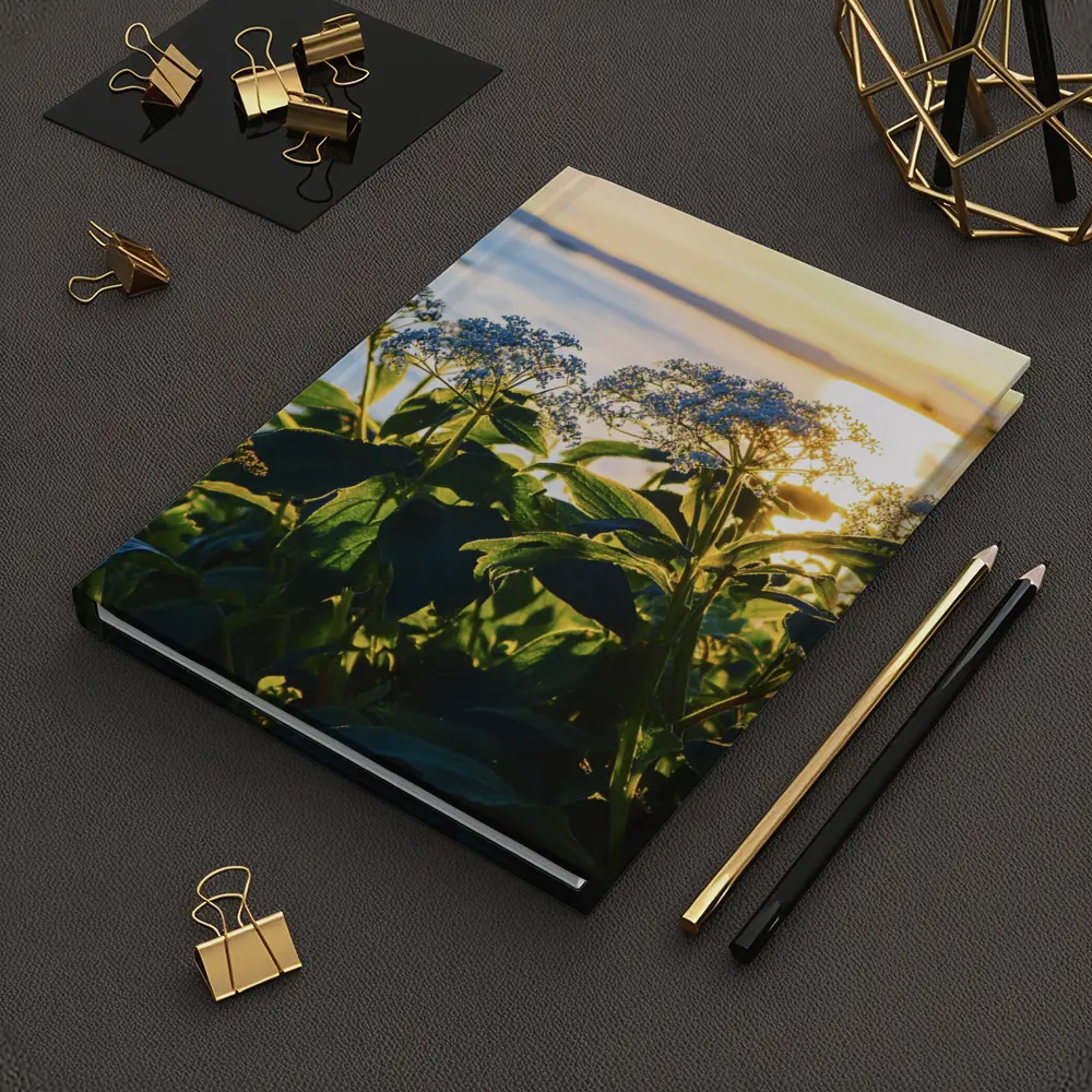Blue Wildflowers Glowing Coastal Sunset Scene – Notebooks
