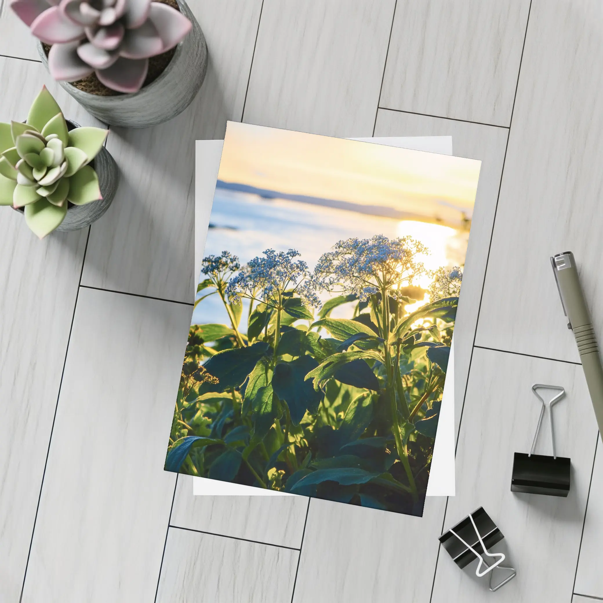 Blue Wildflowers Glowing Coastal Sunset Scene – Postcards