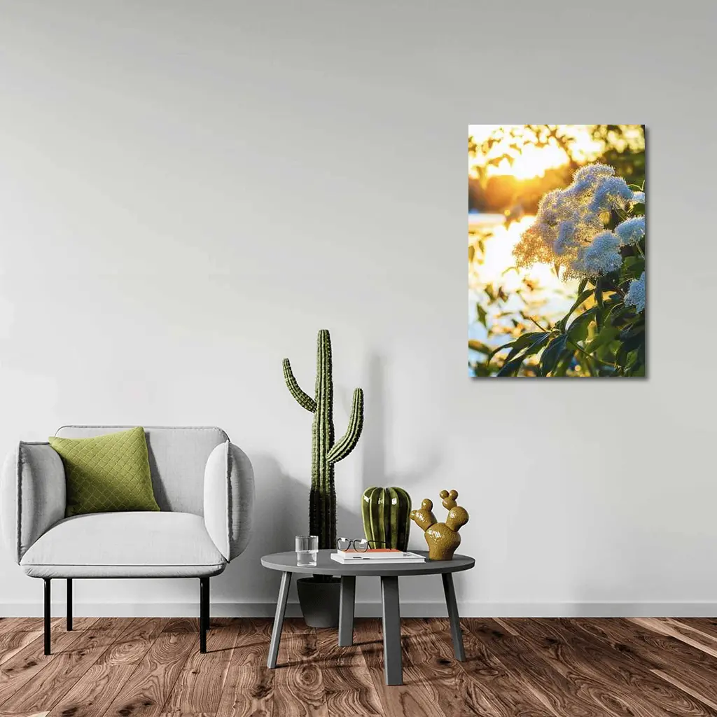 White Hydrangea Flowers Golden Sunset Light – Wall Art