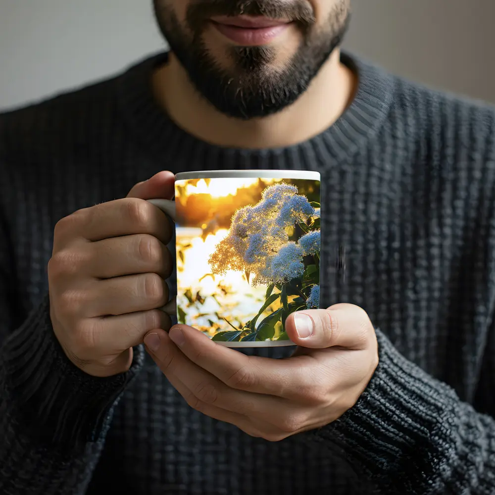 White Hydrangea Flowers Golden Sunset Light – Mugs