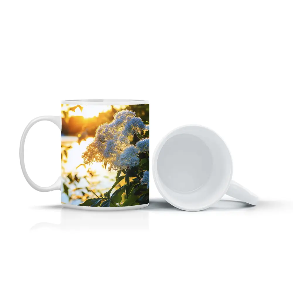 White Hydrangea Flowers Golden Sunset Light – Mugs