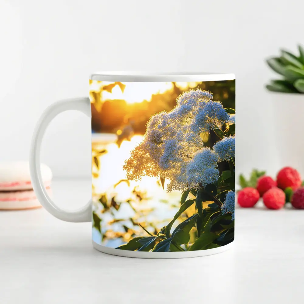 White Hydrangea Flowers Golden Sunset Light – Mugs
