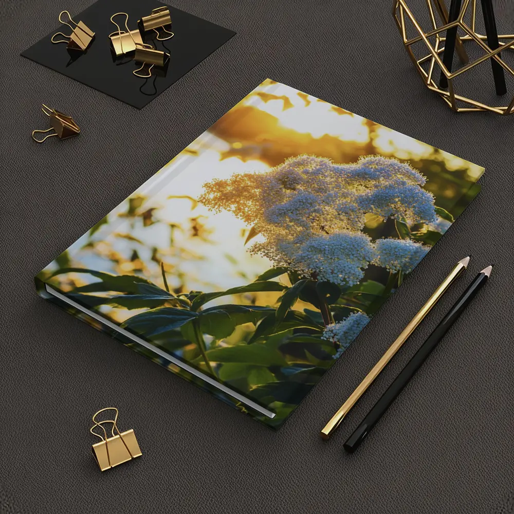 White Hydrangea Flowers Golden Sunset Light – Notebooks