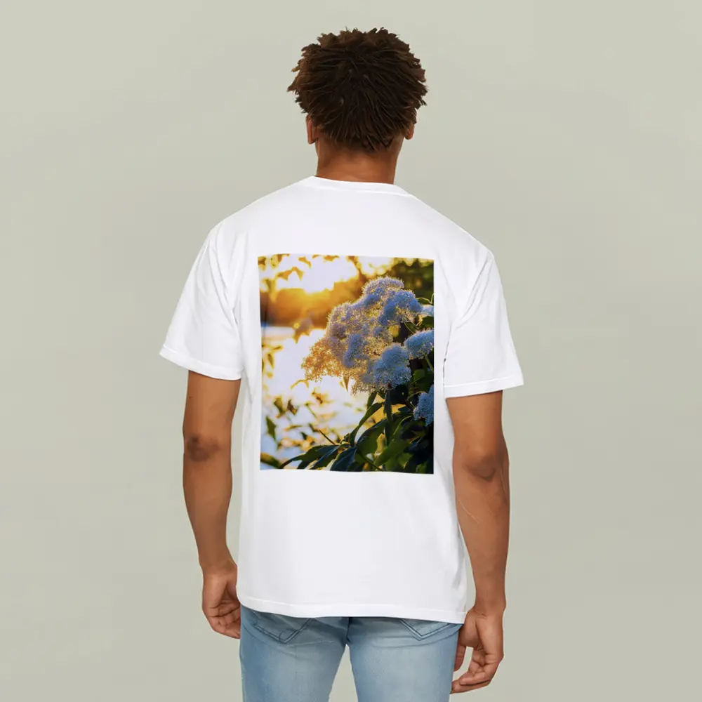 White Hydrangea Flowers Golden Sunset Light – T-Shirts