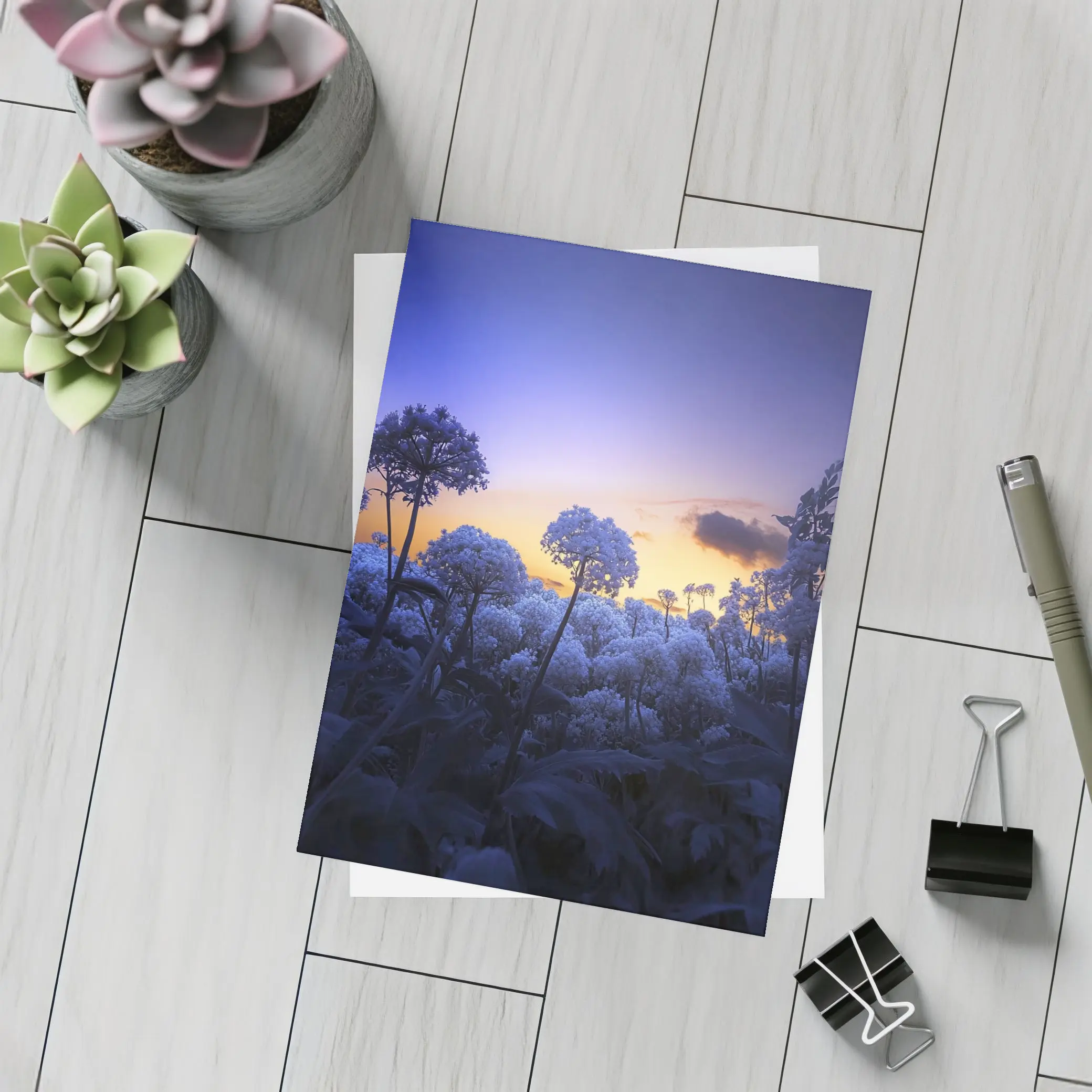 Blue Flowers Glowing Against Sunset Sky – Postcards