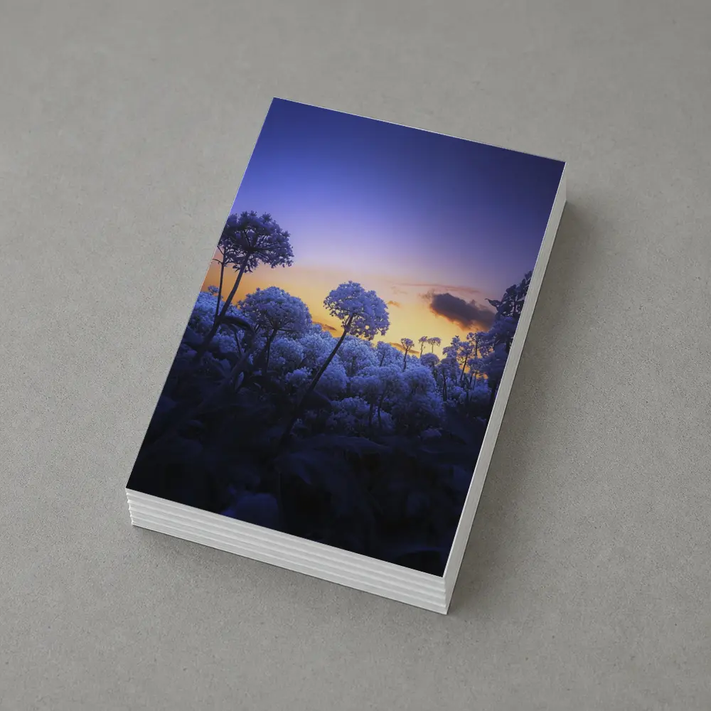 Blue Flowers Glowing Against Sunset Sky – Postcards