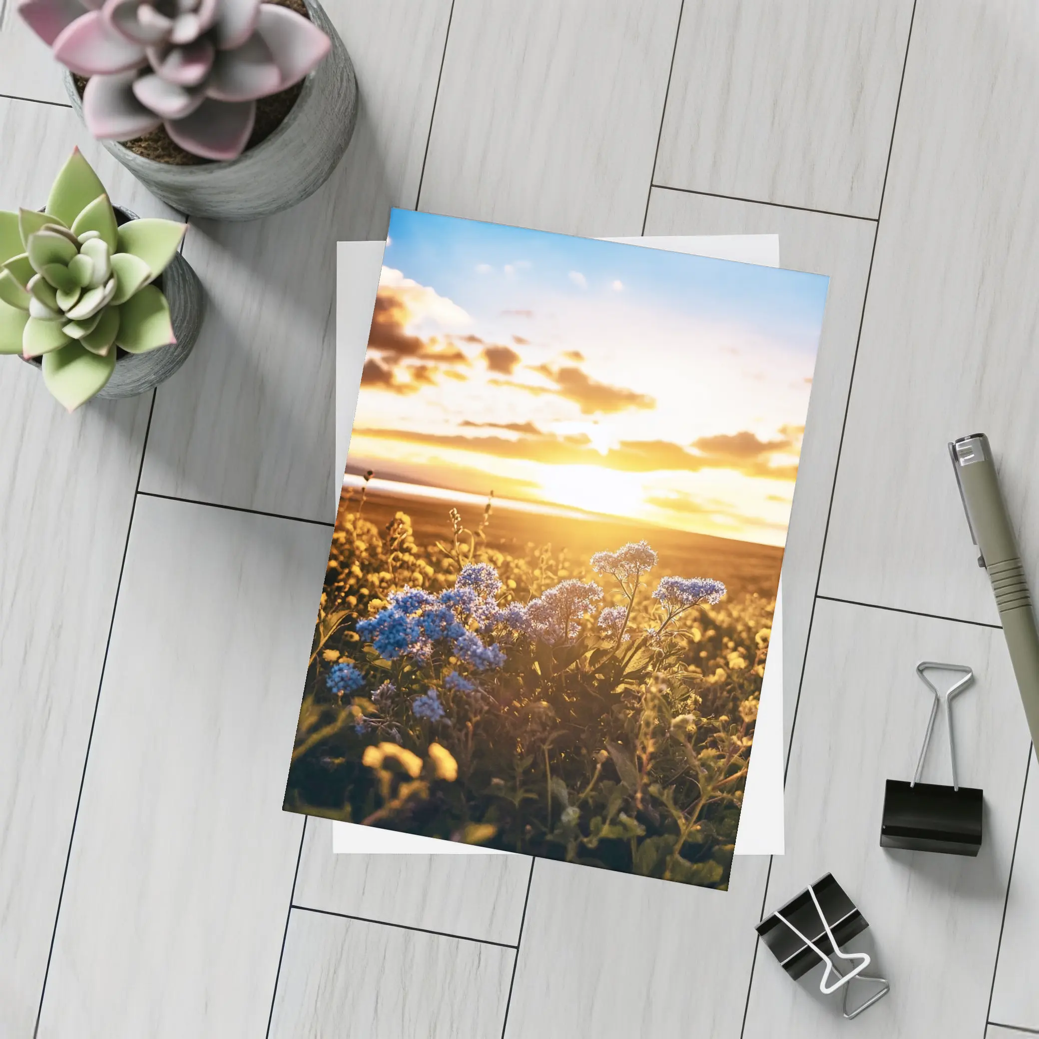 Blue Wildflowers Field Golden Sunset Sky – Postcards