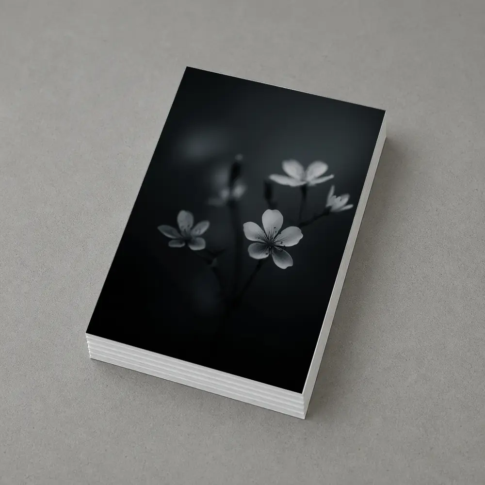 Dark Moody Black White Wildflowers Close Up – Postcards