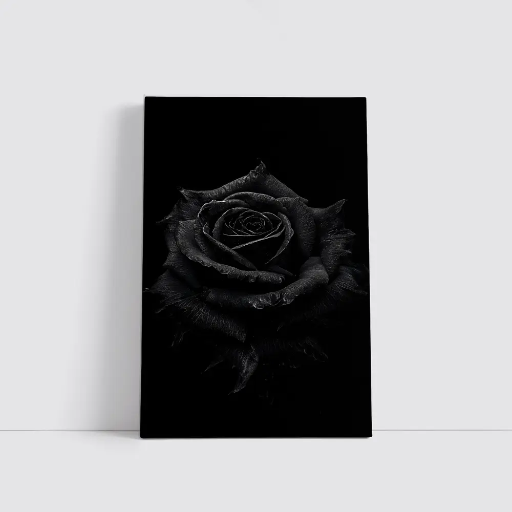Black Rose Dark Moody Floral Photography – Wall Art