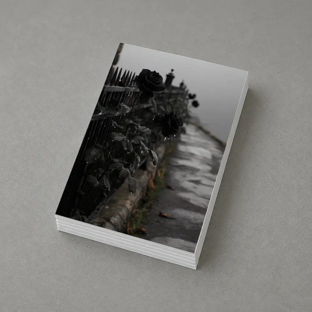 Black Roses on Iron Fence Foggy Street – Postcards