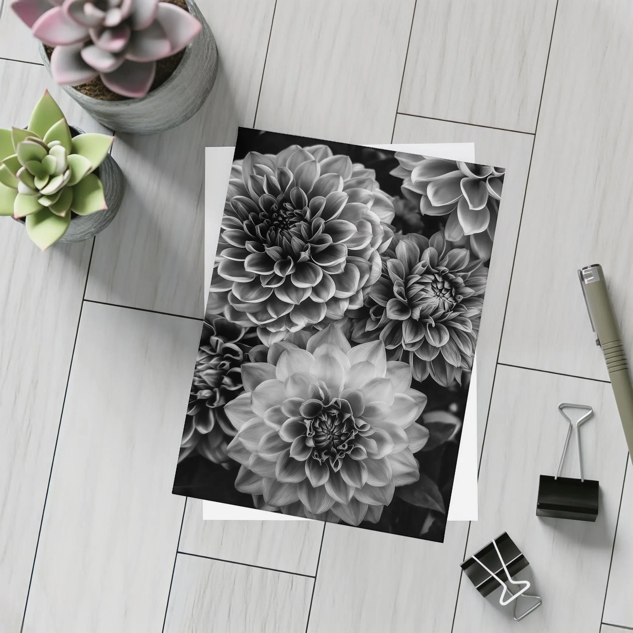 Black and White Dahlia Flowers Dark Background – Postcards