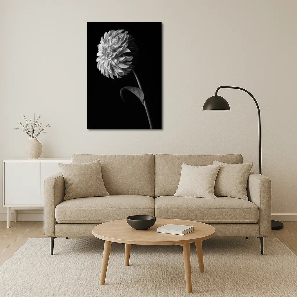Black And White Dahlia Flower Dark Background – Wall Art