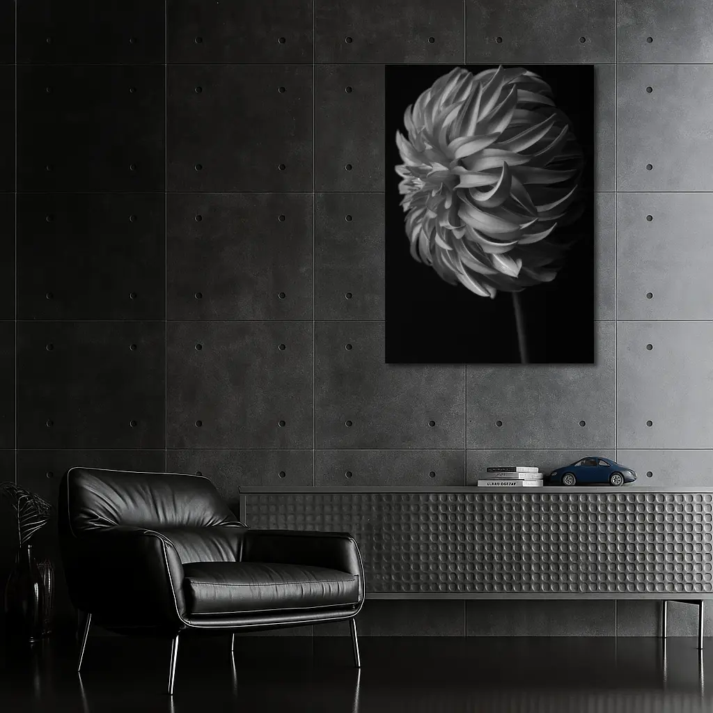 Black and White Dahlia Flower Dark Background – Wall Art