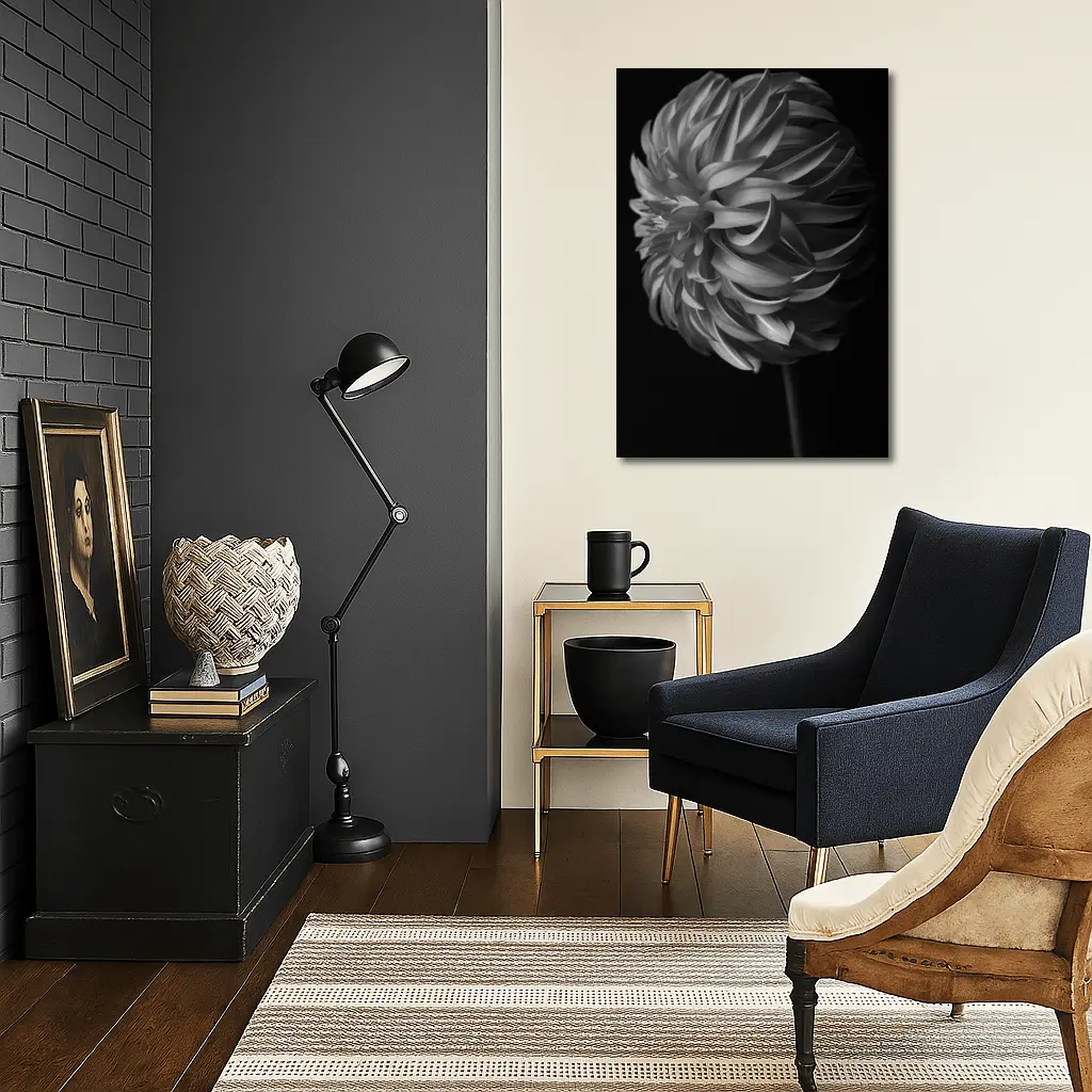 Black and White Dahlia Flower Dark Background – Wall Art