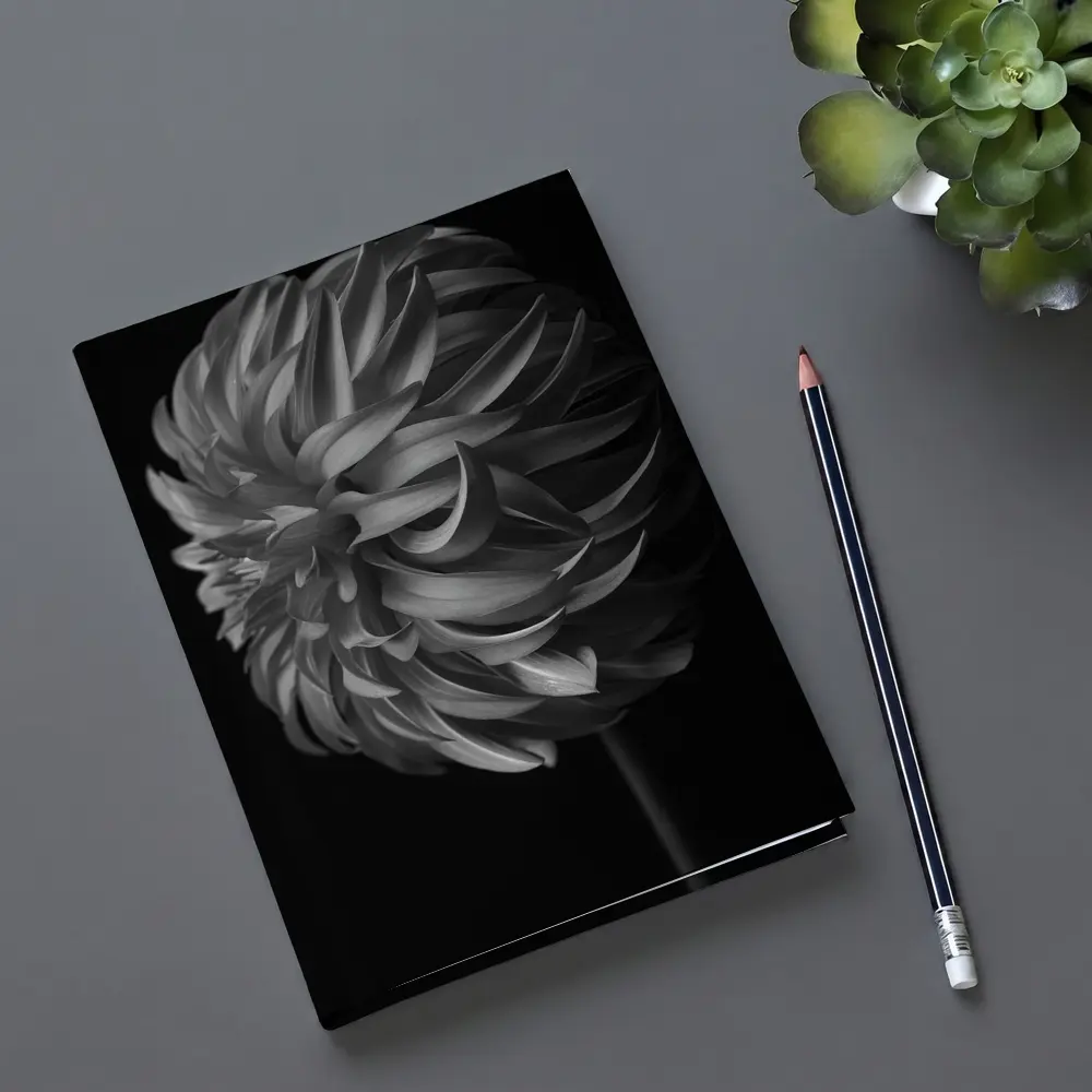 Black and White Dahlia Flower Dark Background – Notebooks
