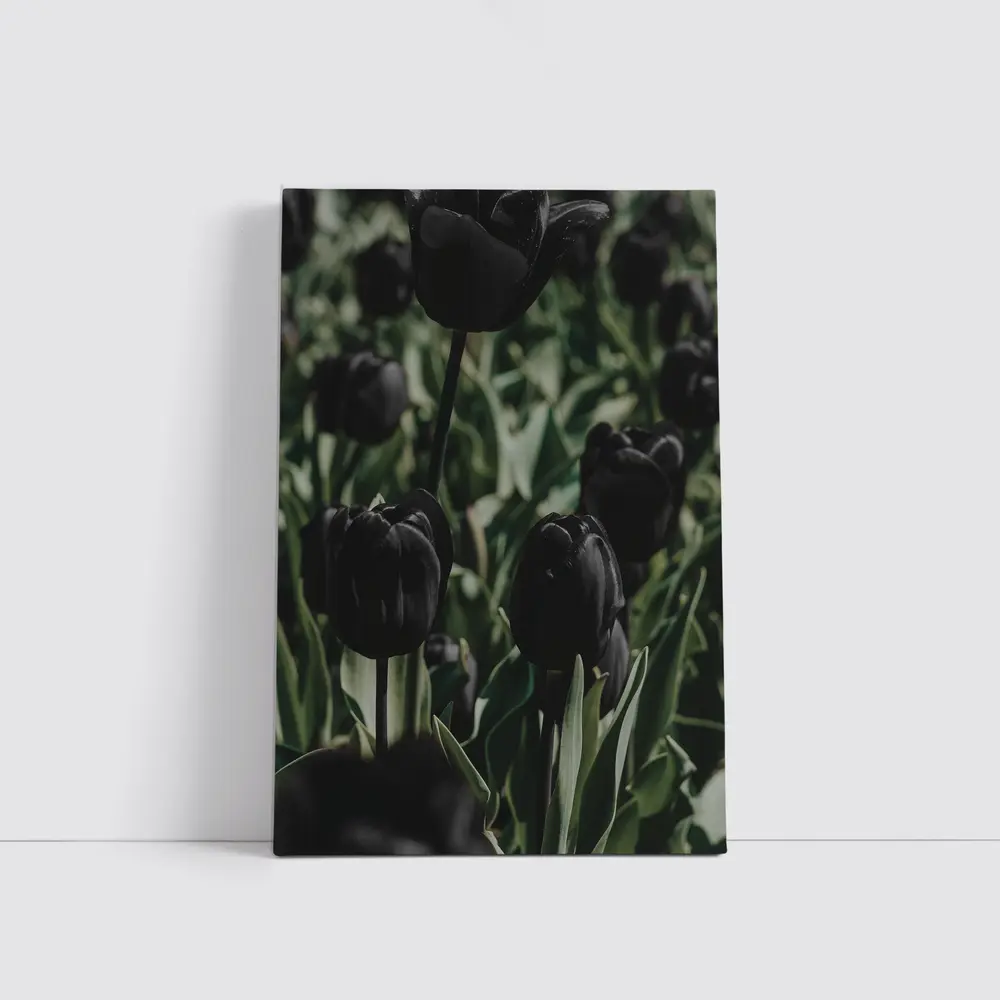 Black Tulips Dark Moody Garden Field – Wall Art