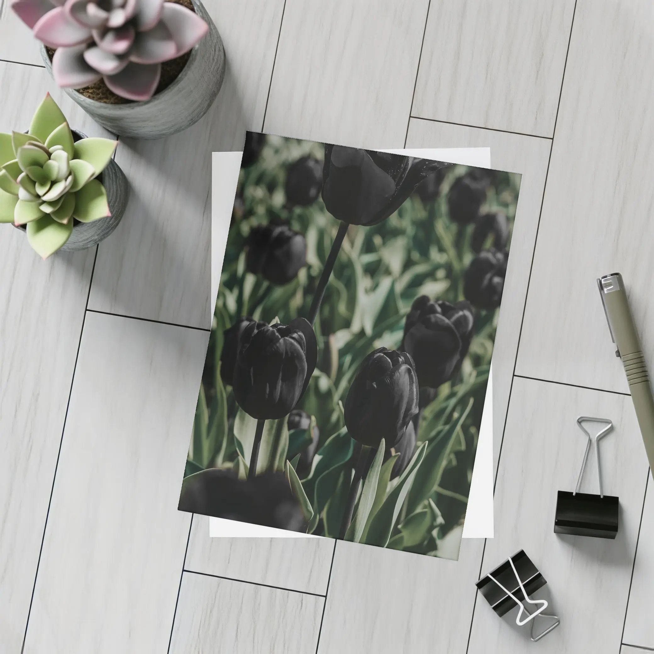 Black Tulips Dark Moody Garden Field – Postcards
