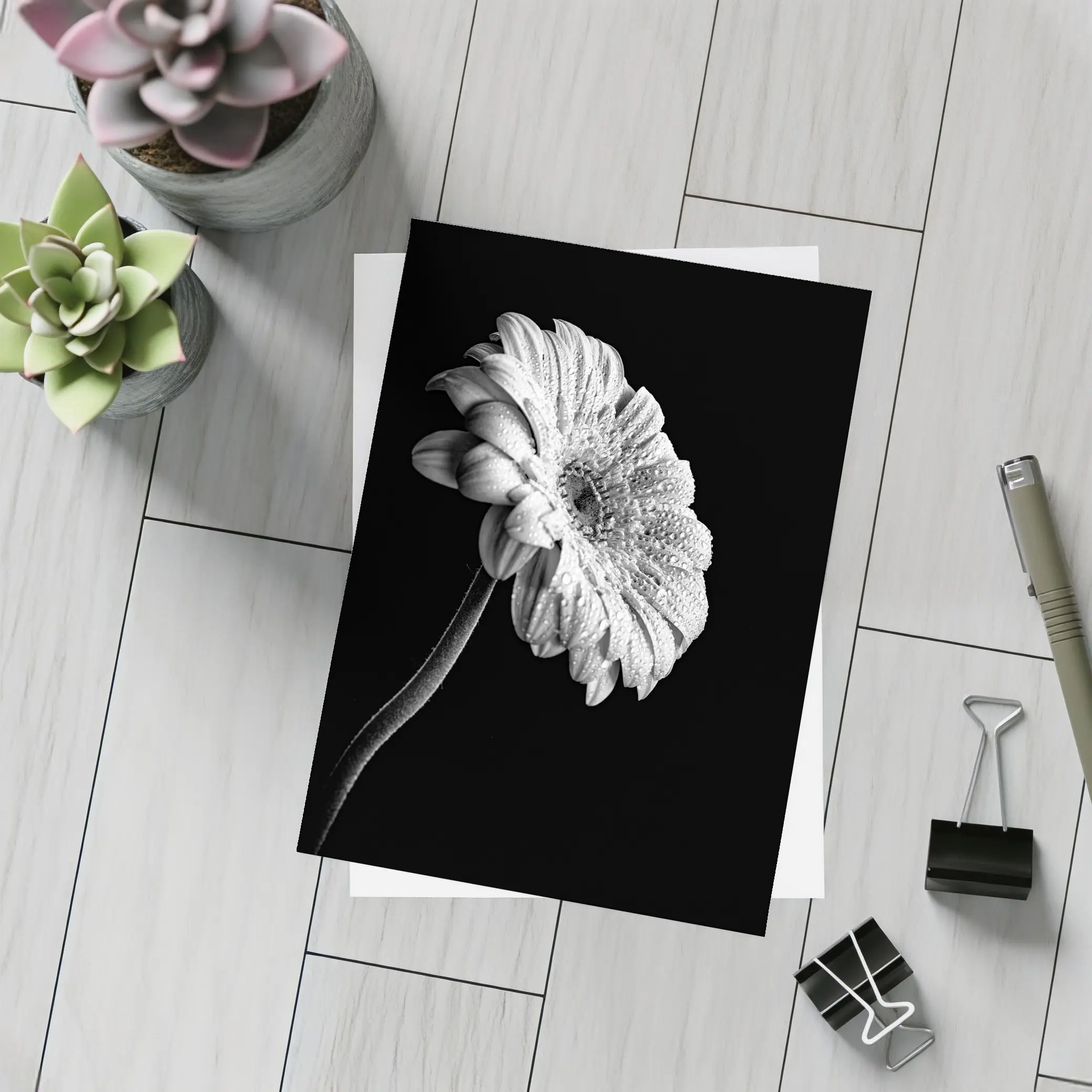 Gerbera Daisy Black White Moody Photography – Postcards