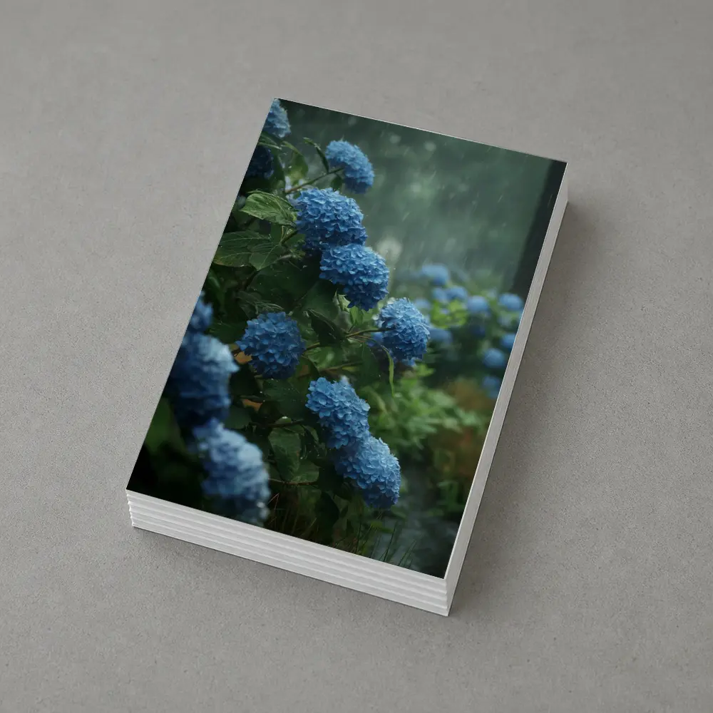 Blue Hydrangeas Blooming in Rainy Garden – Postcards