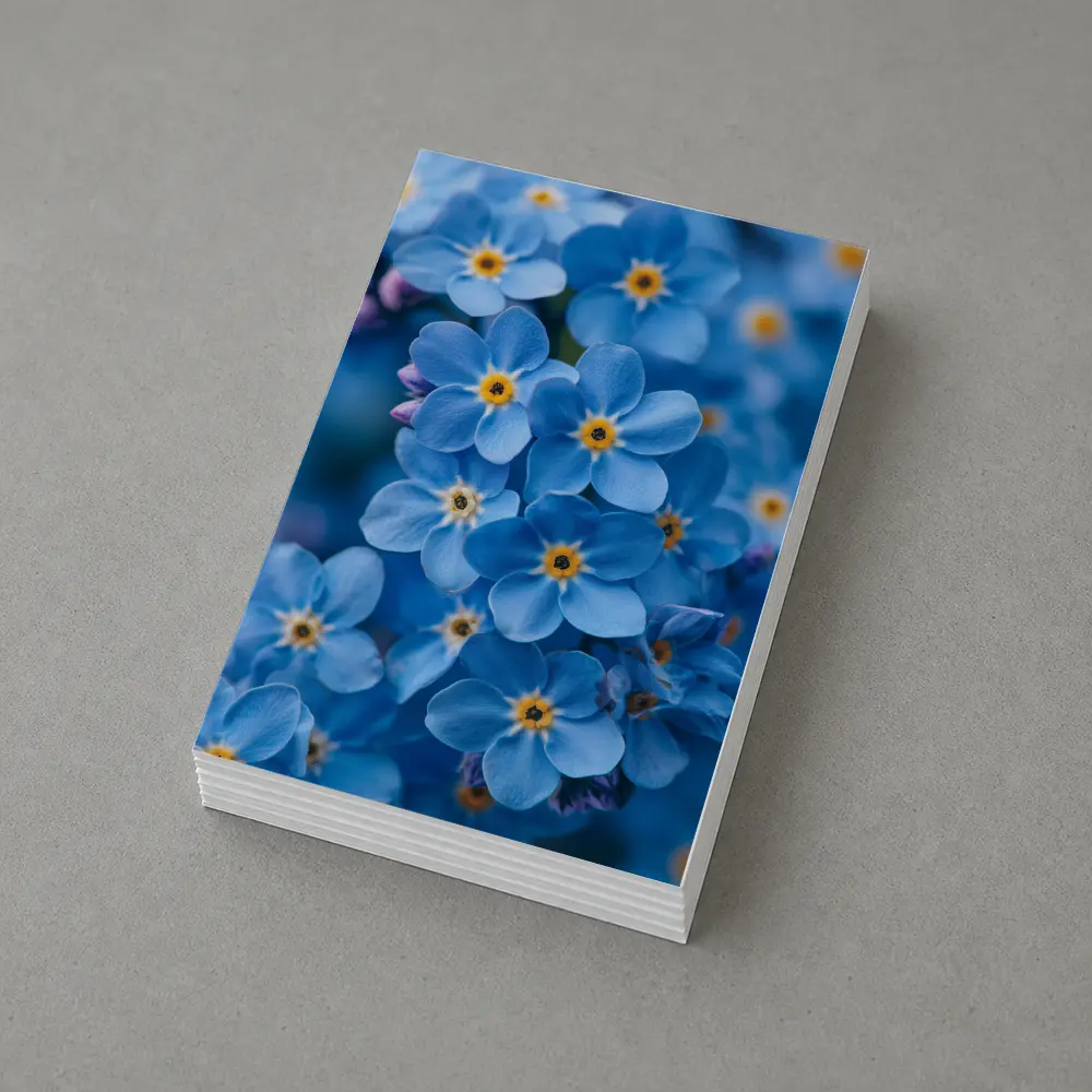Forget Me Not Blue Flowers Close Up – Postcards