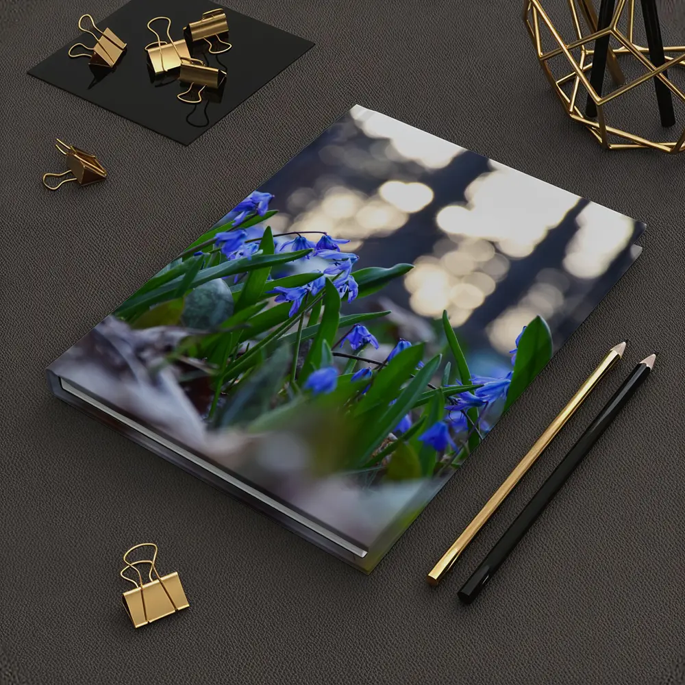 Blue Scilla Flowers Forest Bokeh Spring – Notebooks