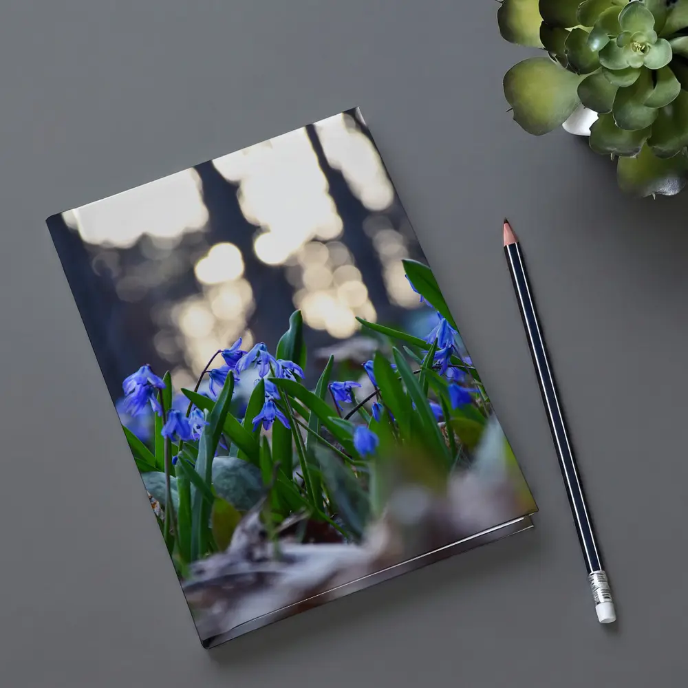 Blue Scilla Flowers Forest Bokeh Spring – Notebooks