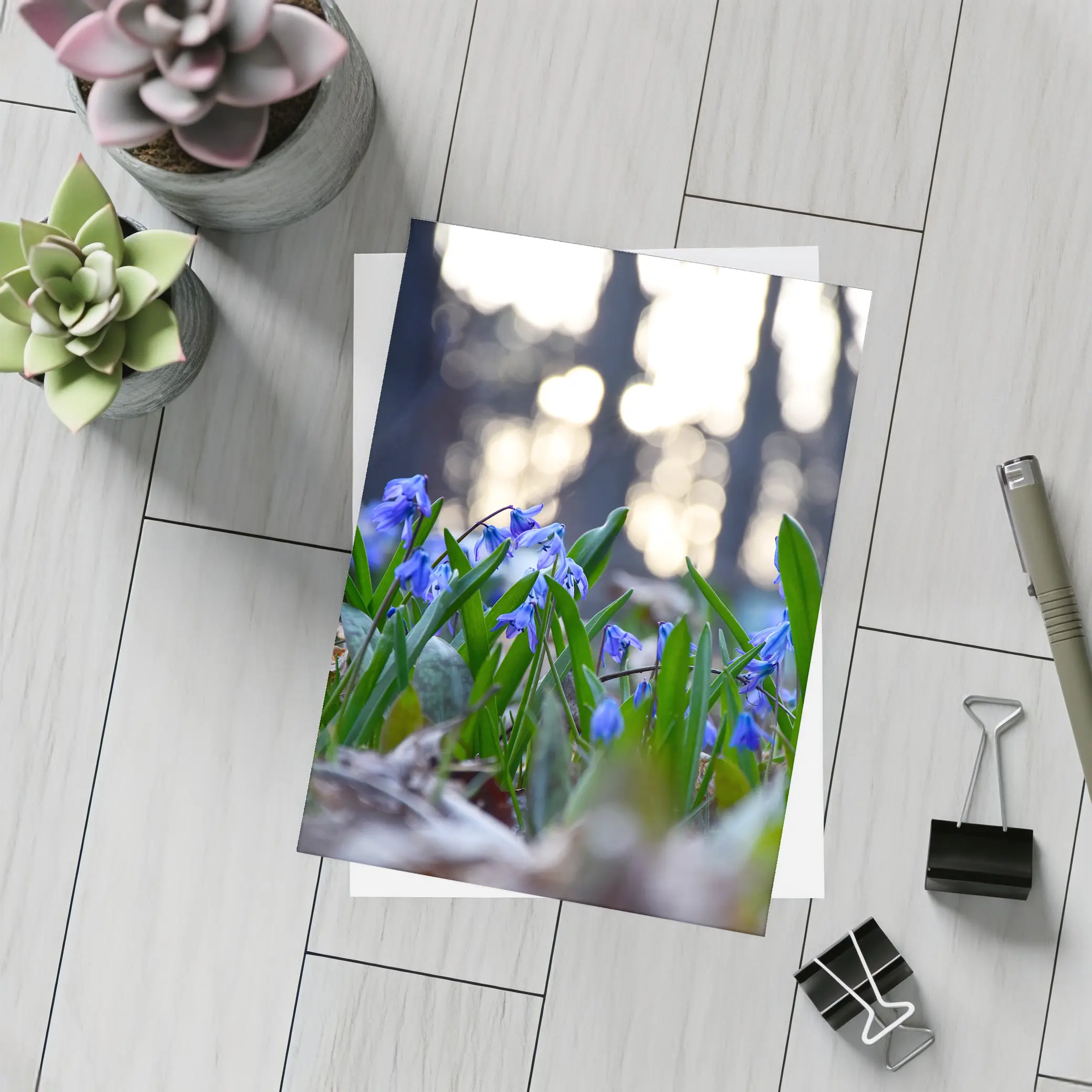 Blue Scilla Flowers Forest Bokeh Spring – Postcards