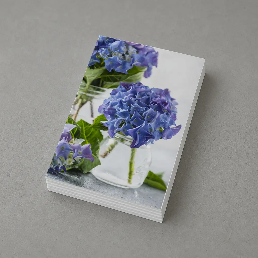 Blue Hydrangea Flowers In Glass Jars – Postcards