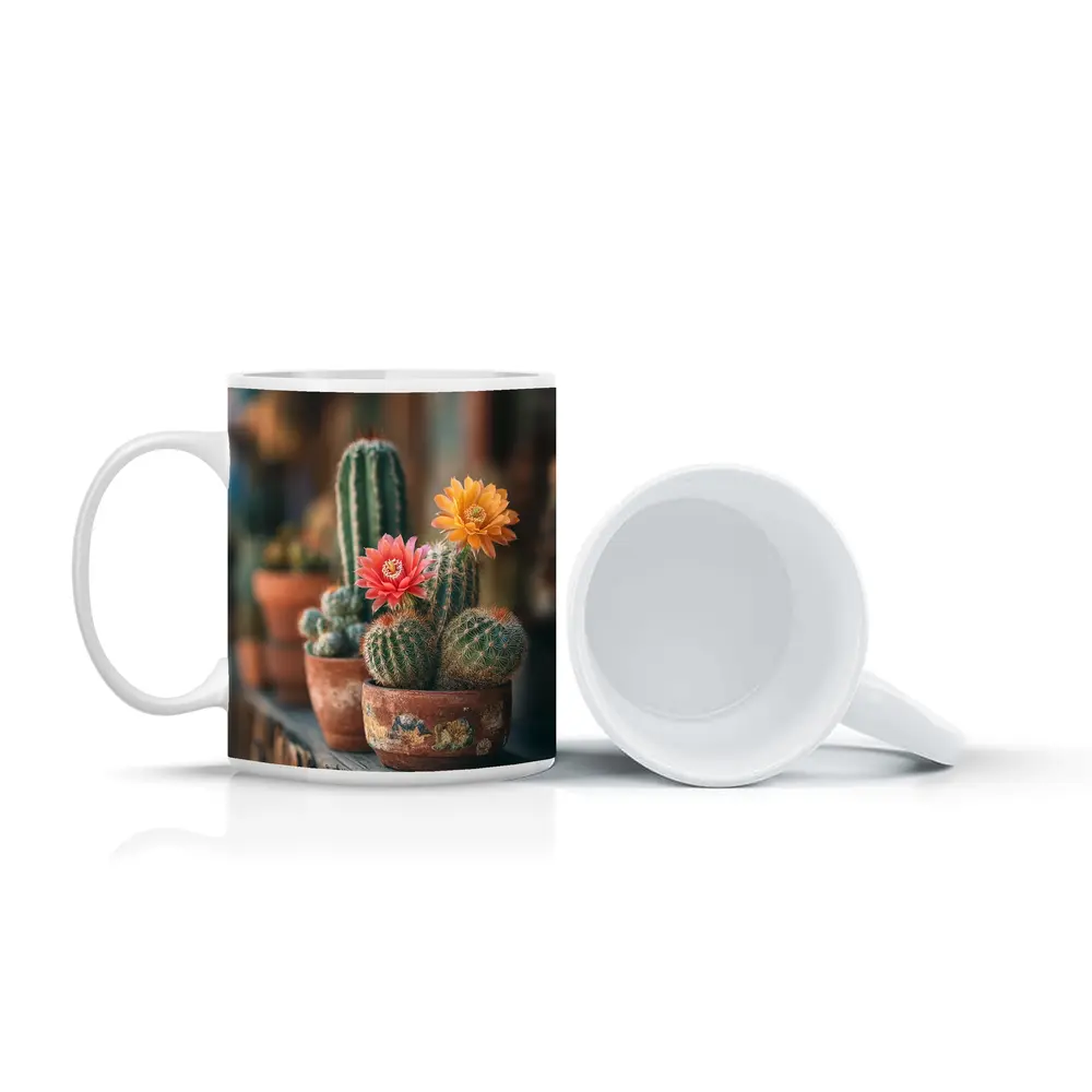 Blooming Cacti in Terracotta Pots Shelf – Mugs