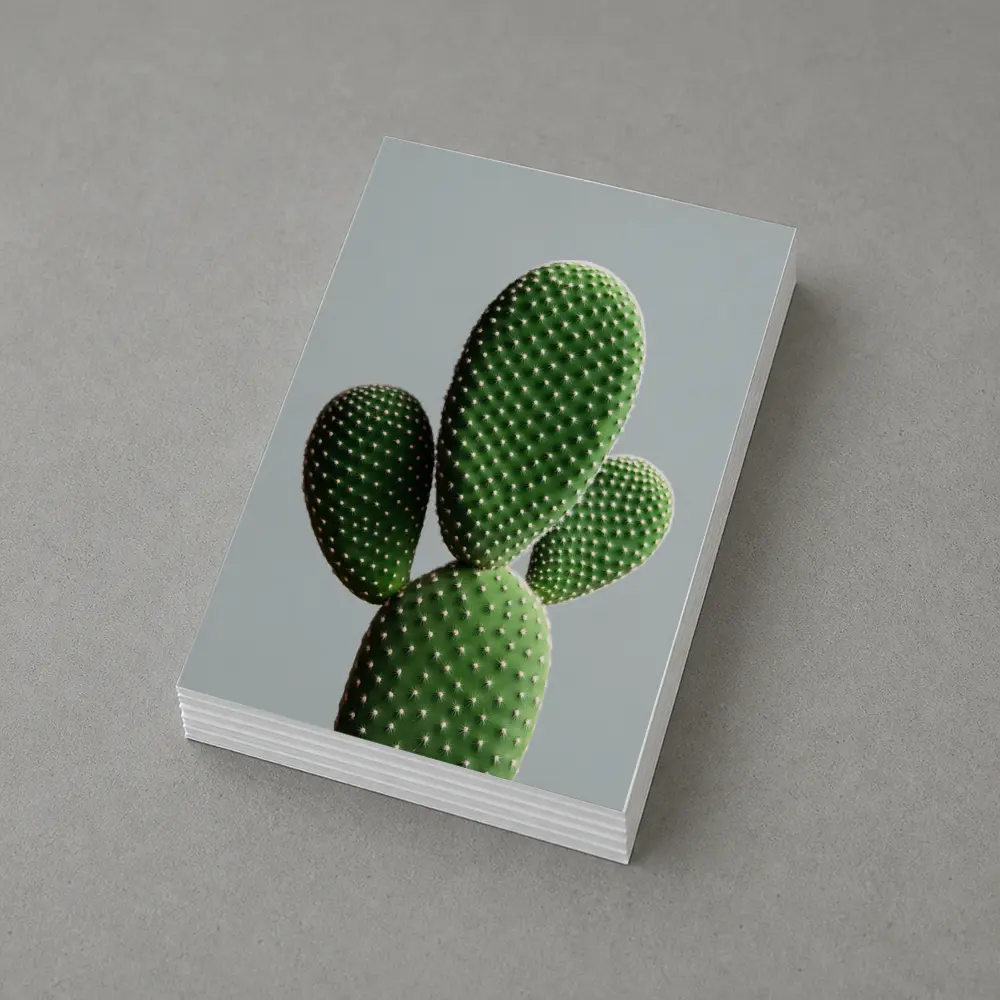 Prickly Pear Cactus on Gray Background – Postcards
