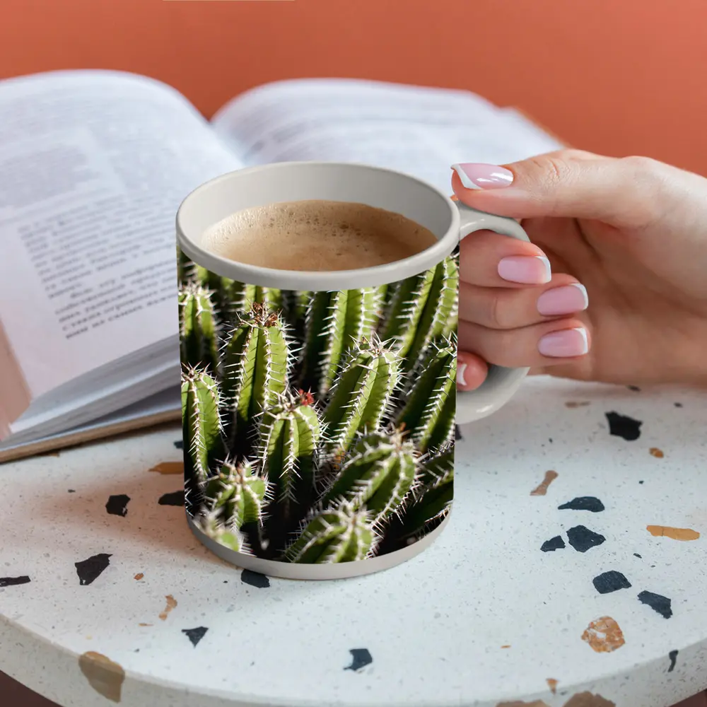 Close Up Green Cactus Spines Desert Plant – Mugs